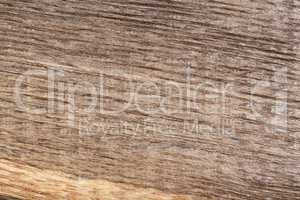 Old scratched wood bog oak . Texture.