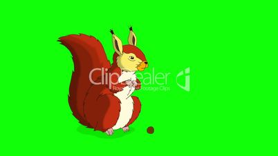 Red Squirrel Sitting and Eating Nuts. Chroma