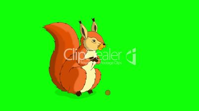 Rufous Squirrel Sitting and Eating Nuts. Chroma