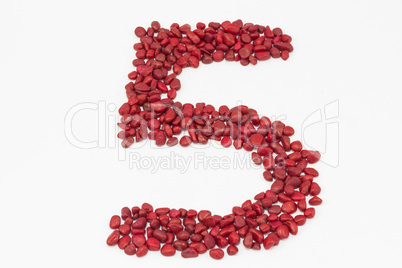 The number five, made by red stones.
