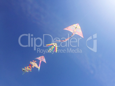 Kites flying