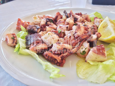 Octopus salad