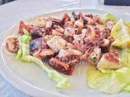 Octopus salad