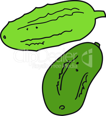 Two green cucumbers
