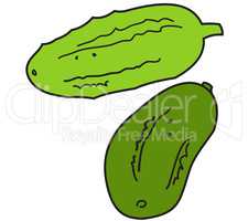 Two green cucumbers