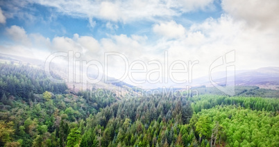 High angle view of trees growing on landscape