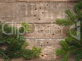 Old wood with fir branch