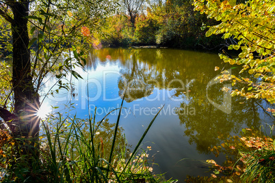 Colorful autumn landscape on a sunny day with trees with water and clouds