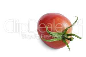 Ripe tomato on a white background.