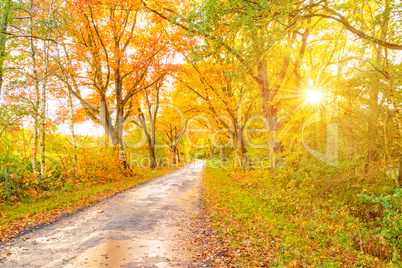 autumn in East Frisia