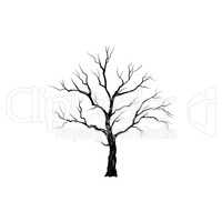 Tree without leaves. Nature sign Floral winter outdoor icon
