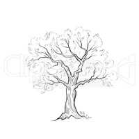 Tree with leaves. Summer nature sign Floral forest icon