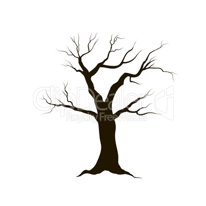 Tree without leaves. Nature sign Winter forest symbol