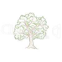 Tree with leaves. Summer nature sign Floral wood icon