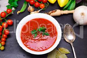 Gazpacho spanish cold soup