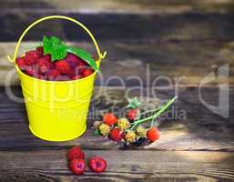 ripe red raspberry in a yellow iron bucket