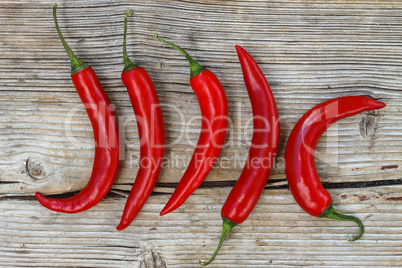 Hot chili pepper on a wooden background