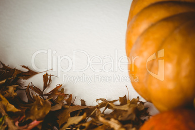 Cropped image of pumpkin by autumn leaves