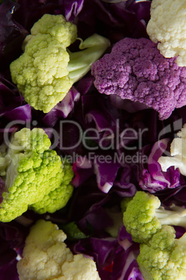 Close-up of cauliflowers with red cabbages