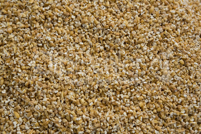 Close-up of breakfast grains