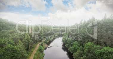 High angle view of river amidst trees