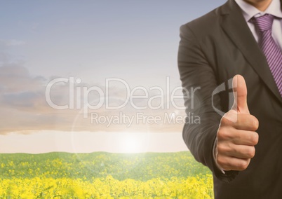 Businessman in nature meadow