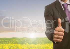Businessman in nature meadow