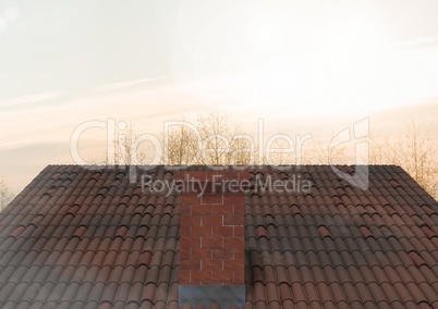 Roof with chimney and trees in evening light