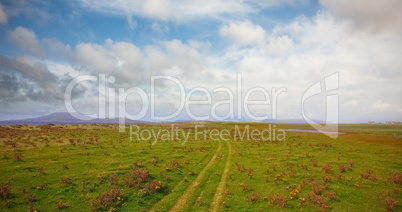 Calm view of landscape