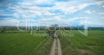 High angle view of dirt road amidst grassy landscape