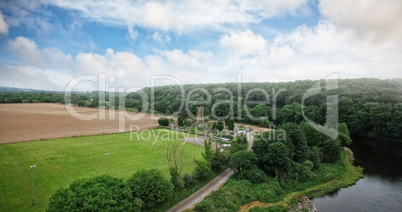 High angle view of trees growing by field