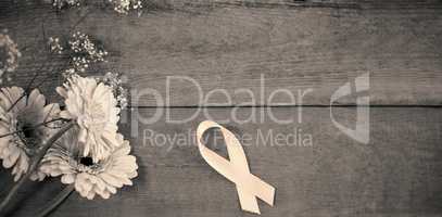 Directly above view of pink Breast Cancer Awareness ribbon by gerbera flowers