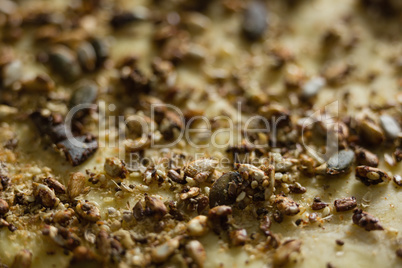 Cardamoms on tart