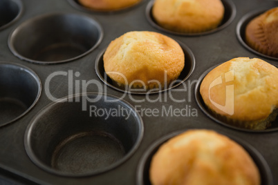 Close up of muffins in tin