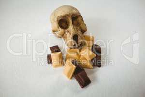 High angle view of human skull with chocolate bars