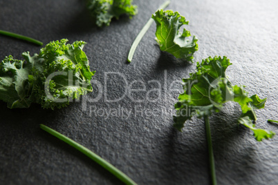 High angle view of fresh kale