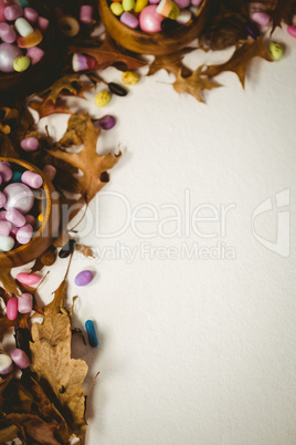 Overhead view of candies with autumn leaves