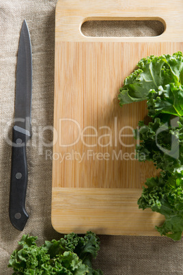 Fresh kale leaves on cutting board with knife at table