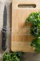 Fresh kale leaves on cutting board with knife at table