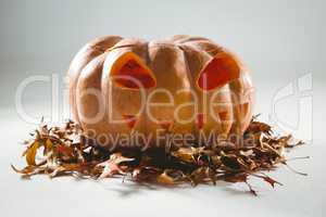 Jack o lantern on leaves over white background