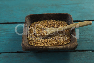 Coriander seeds in wooden bowl