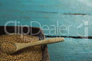 Coriander seeds in wooden bowl