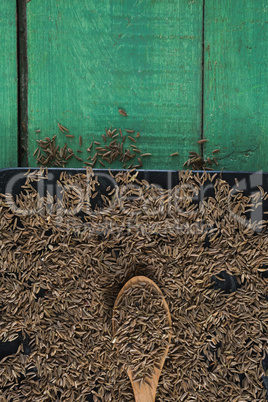 Cumin with spoon in tray on wooden table