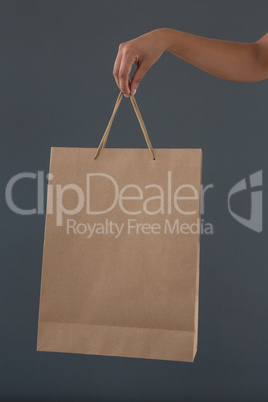 Cropped hand of woman holding shopping bag