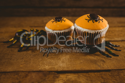 Close up of cup cakes with artificial spider
