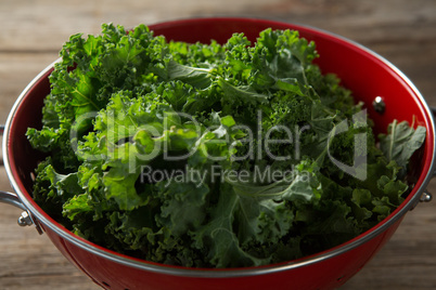 Close-up of kale in colander