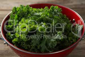 Close-up of kale in colander