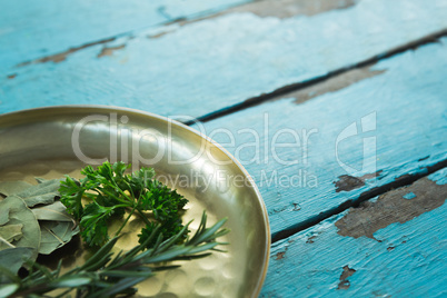 Various herbs in plate