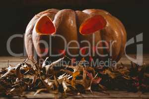 Close up of jack o lantern with autumn leaves