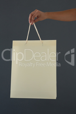 Cropped hand of female customer holding shopping bag